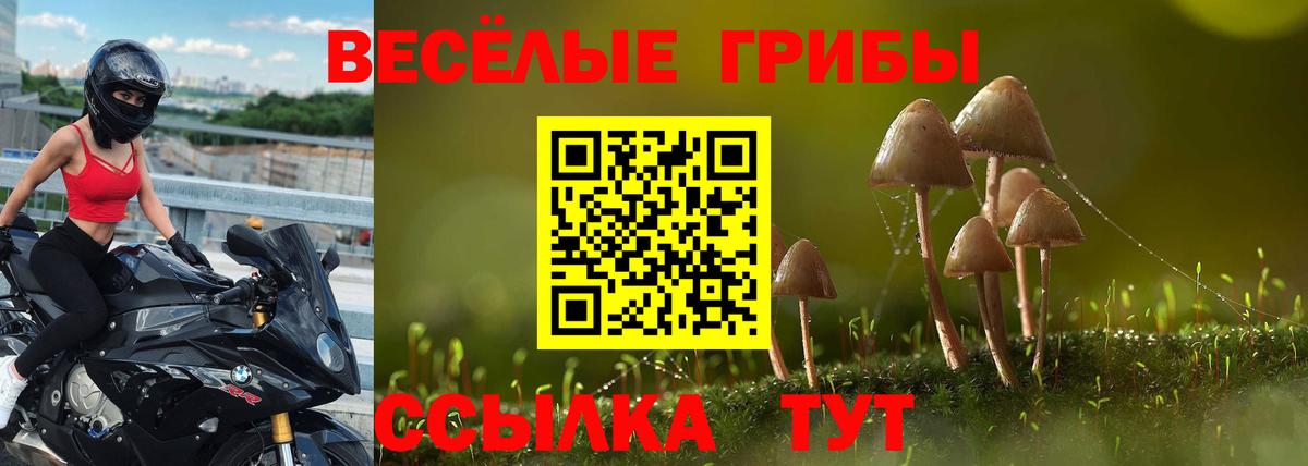 Псилоцибиновые грибы Cubensis Соль-Илецк